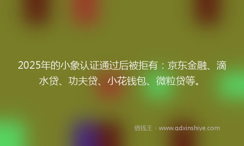 2025年的小象认证通过后被拒有：京东金融、滴水贷、功夫贷、小花钱包、微粒贷等。