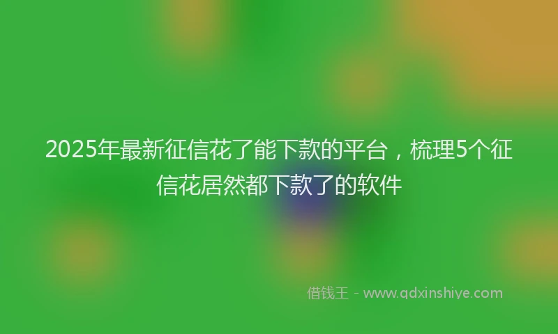 2025年最新征信花了能下款的平台，梳理5个征信花居然都下款了的软件