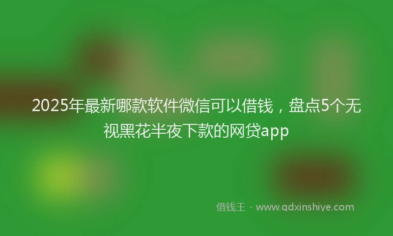 2025年最新哪款软件微信可以借钱，盘点5个无视黑花半夜下款的网贷app