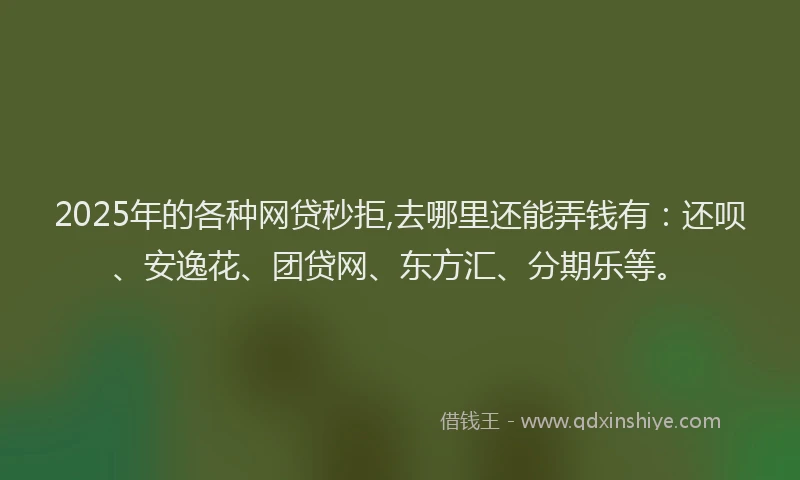 2025年的各种网贷秒拒,去哪里还能弄钱有：还呗、安逸花、团贷网、东方汇、分期乐等。