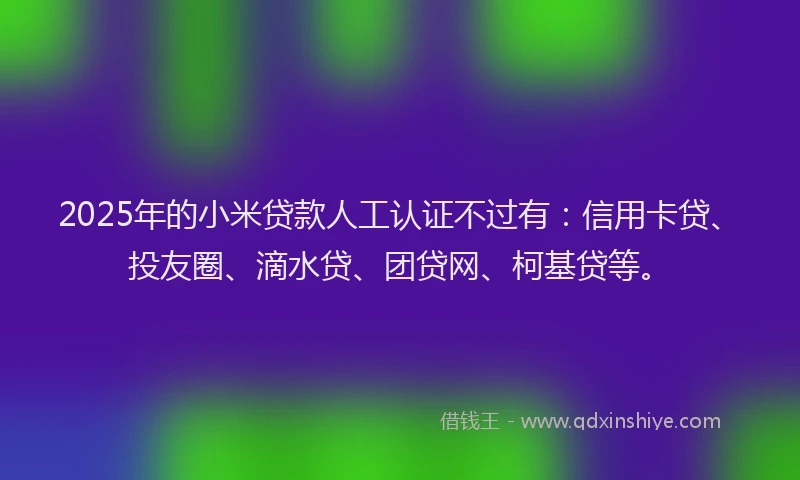2025年的小米贷款人工认证不过有：信用卡贷、投友圈、滴水贷、团贷网、柯基贷等。
