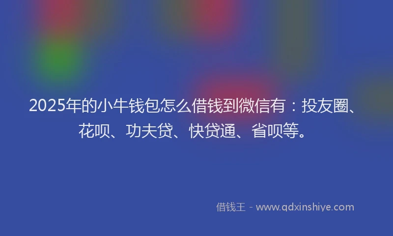 2025年的小牛钱包怎么借钱到微信有：投友圈、花呗、功夫贷、快贷通、省呗等。