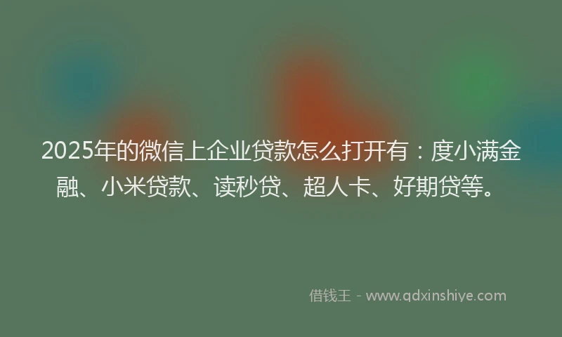 2025年的微信上企业贷款怎么打开有：度小满金融、小米贷款、读秒贷、超人卡、好期贷等。