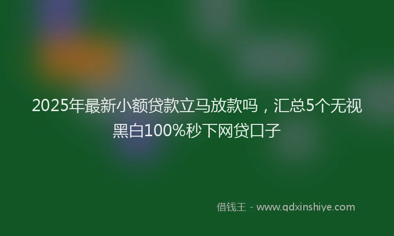 2025年最新小额贷款立马放款吗，汇总5个无视黑白100%秒下网贷口子