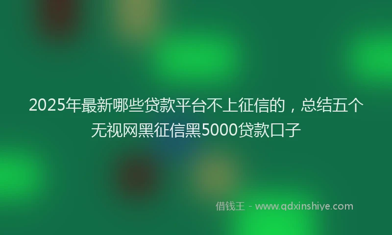 2025年最新哪些贷款平台不上征信的，总结五个无视网黑征信黑5000贷款口子