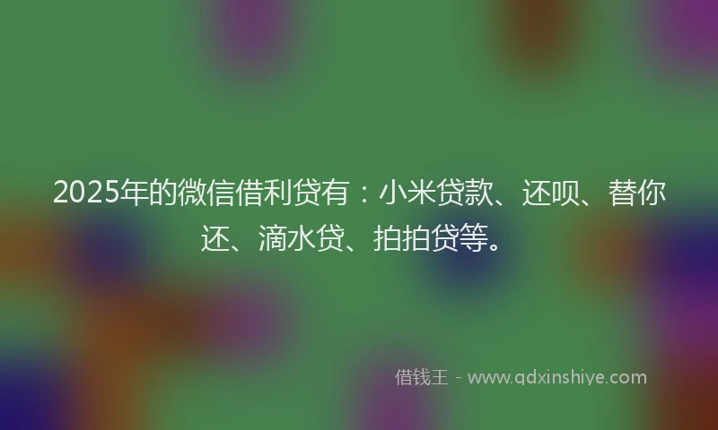 2025年的微信借利贷有：小米贷款、还呗、替你还、滴水贷、拍拍贷等。