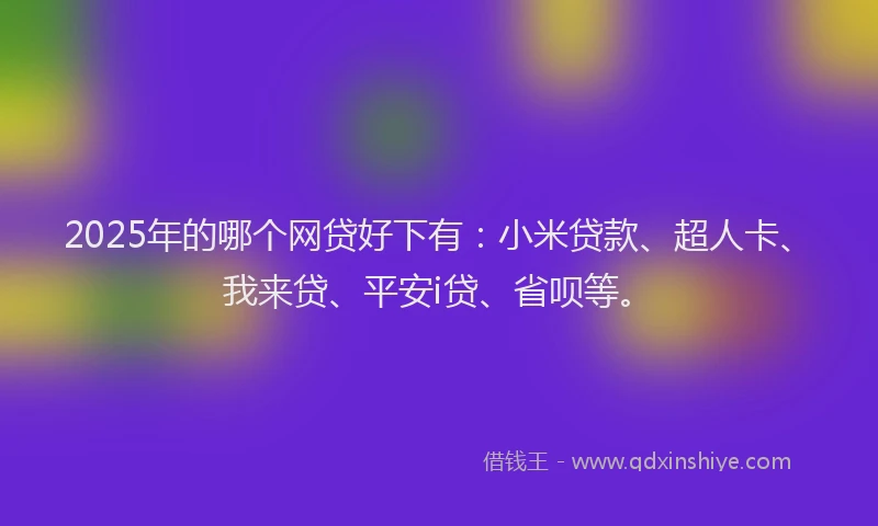 2025年的哪个网贷好下有：小米贷款、超人卡、我来贷、平安i贷、省呗等。
