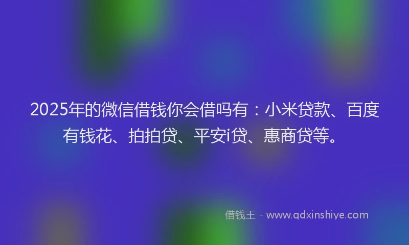 2025年的微信借钱你会借吗有：小米贷款、百度有钱花、拍拍贷、平安i贷、惠商贷等。