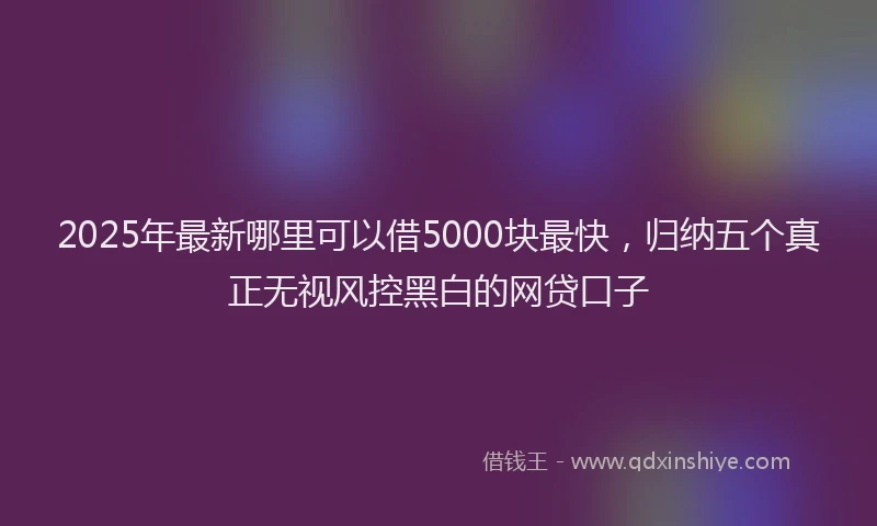 2025年最新哪里可以借5000块最快，归纳五个真正无视风控黑白的网贷口子