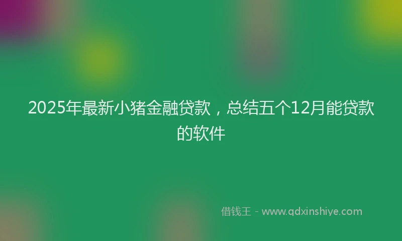 2025年最新小猪金融贷款，总结五个12月能贷款的软件