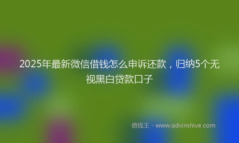 2025年最新微信借钱怎么申诉还款，归纳5个无视黑白贷款口子