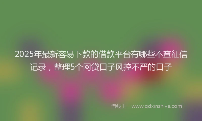 2025年最新容易下款的借款平台有哪些不查征信记录，整理5个网贷口子风控不严的口子