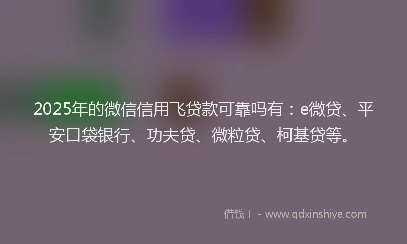 2025年的微信信用飞贷款可靠吗有：e微贷、平安口袋银行、功夫贷、微粒贷、柯基贷等。
