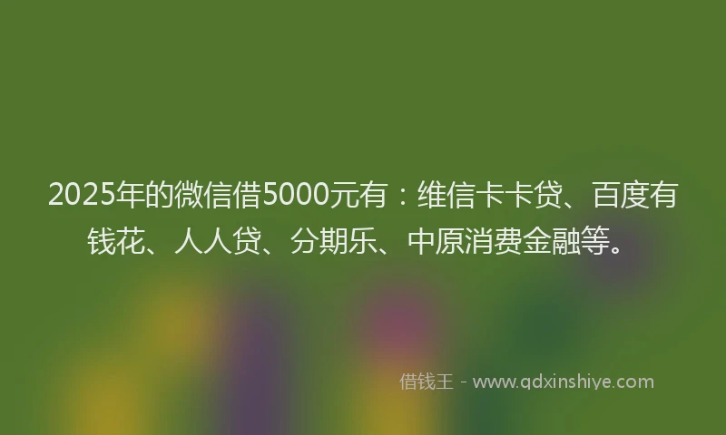 2025年的微信借5000元有：维信卡卡贷、百度有钱花、人人贷、分期乐、中原消费金融等。