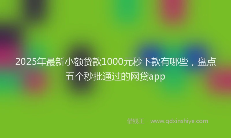 2025年最新小额贷款1000元秒下款有哪些，盘点五个秒批通过的网贷app