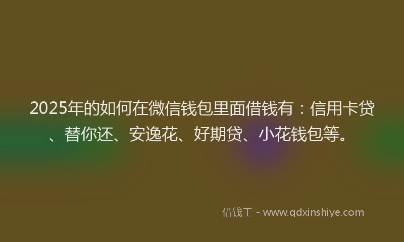 2025年的如何在微信钱包里面借钱有：信用卡贷、替你还、安逸花、好期贷、小花钱包等。