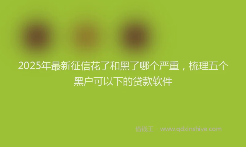 2025年最新征信花了和黑了哪个严重，梳理五个黑户可以下的贷款软件