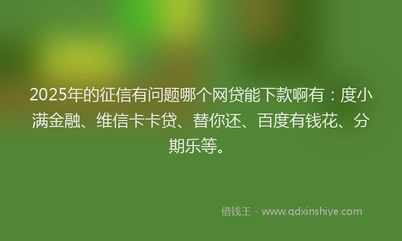 2025年的征信有问题哪个网贷能下款啊有：度小满金融、维信卡卡贷、替你还、百度有钱花、分期乐等。