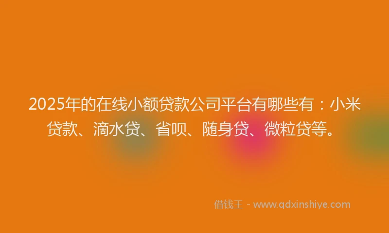 2025年的在线小额贷款公司平台有哪些有：小米贷款、滴水贷、省呗、随身贷、微粒贷等。