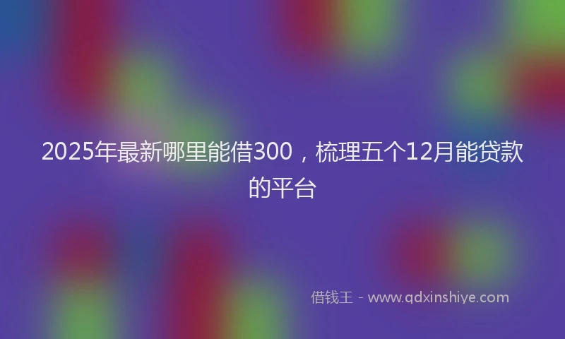 2025年最新哪里能借300，梳理五个12月能贷款的平台