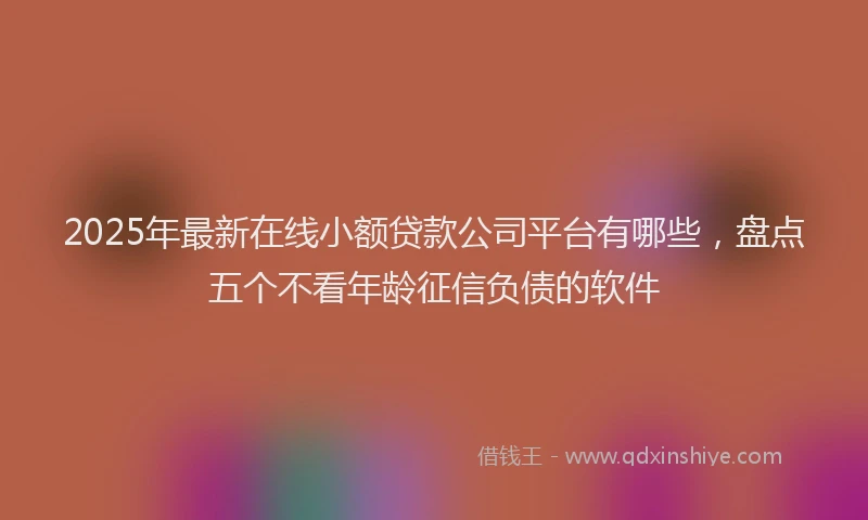 2025年最新在线小额贷款公司平台有哪些，盘点五个不看年龄征信负债的软件