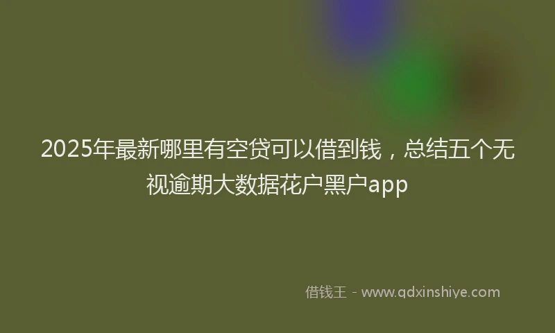 2025年最新哪里有空贷可以借到钱，总结五个无视逾期大数据花户黑户app