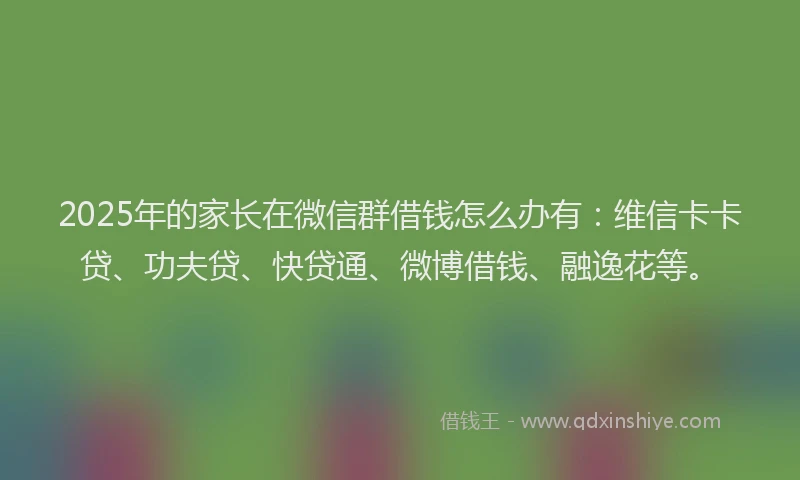 2025年的家长在微信群借钱怎么办有：维信卡卡贷、功夫贷、快贷通、微博借钱、融逸花等。