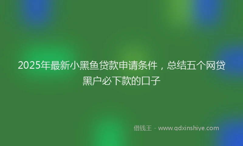 2025年最新小黑鱼贷款申请条件，总结五个网贷黑户必下款的口子