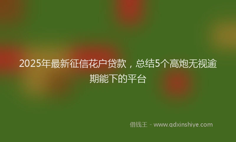 2025年最新征信花户贷款，总结5个高炮无视逾期能下的平台