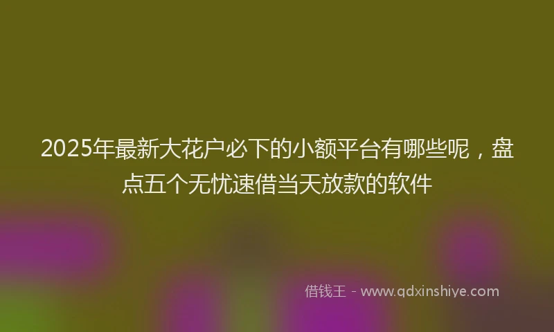 2025年最新大花户必下的小额平台有哪些呢，盘点五个无忧速借当天放款的软件