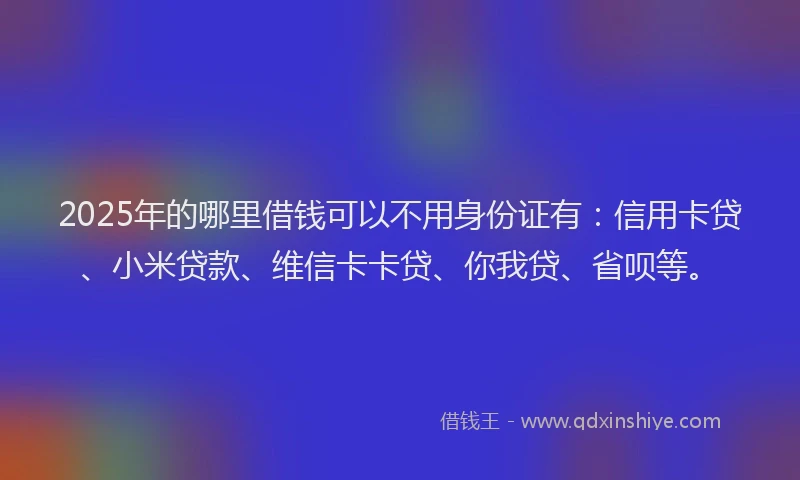 2025年的哪里借钱可以不用身份证有：信用卡贷、小米贷款、维信卡卡贷、你我贷、省呗等。