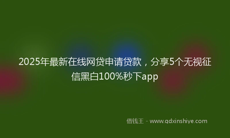 2025年最新在线网贷申请贷款，分享5个无视征信黑白100%秒下app