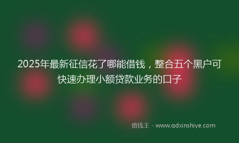 2025年最新征信花了哪能借钱，整合五个黑户可快速办理小额贷款业务的口子