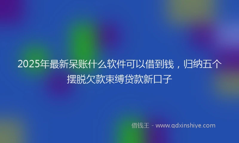 2025年最新呆账什么软件可以借到钱，归纳五个摆脱欠款束缚贷款新口子