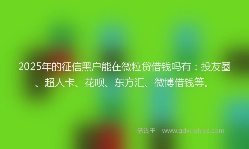 2025年的征信黑户能在微粒贷借钱吗有：投友圈、超人卡、花呗、东方汇、微博借钱等。