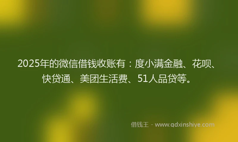 2025年的微信借钱收账有：度小满金融、花呗、快贷通、美团生活费、51人品贷等。