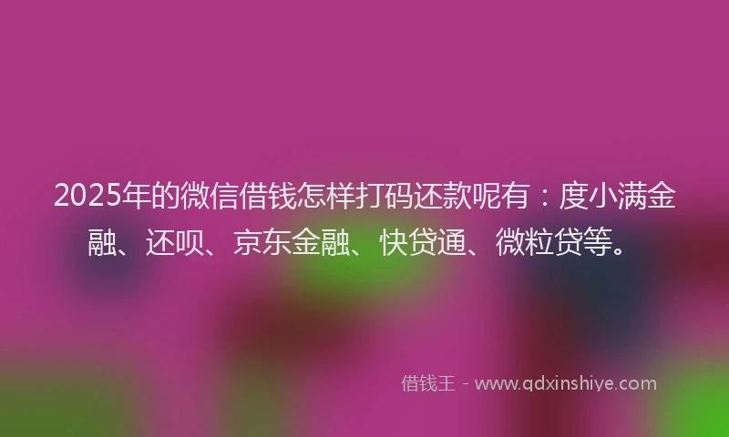 2025年的微信借钱怎样打码还款呢有：度小满金融、还呗、京东金融、快贷通、微粒贷等。