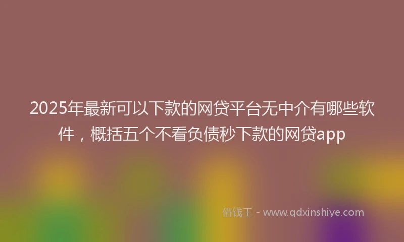 2025年最新可以下款的网贷平台无中介有哪些软件，概括五个不看负债秒下款的网贷app
