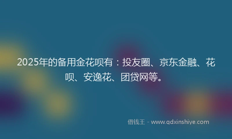 2025年的备用金花呗有：投友圈、京东金融、花呗、安逸花、团贷网等。