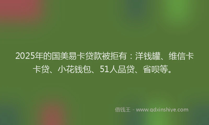 2025年的国美易卡贷款被拒有：洋钱罐、维信卡卡贷、小花钱包、51人品贷、省呗等。