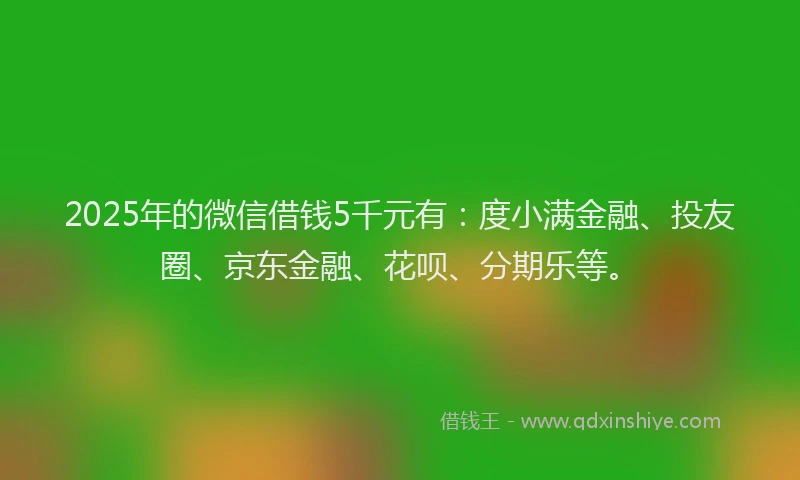 2025年的微信借钱5千元有：度小满金融、投友圈、京东金融、花呗、分期乐等。
