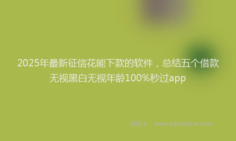 2025年最新征信花能下款的软件，总结五个借款无视黑白无视年龄100%秒过app