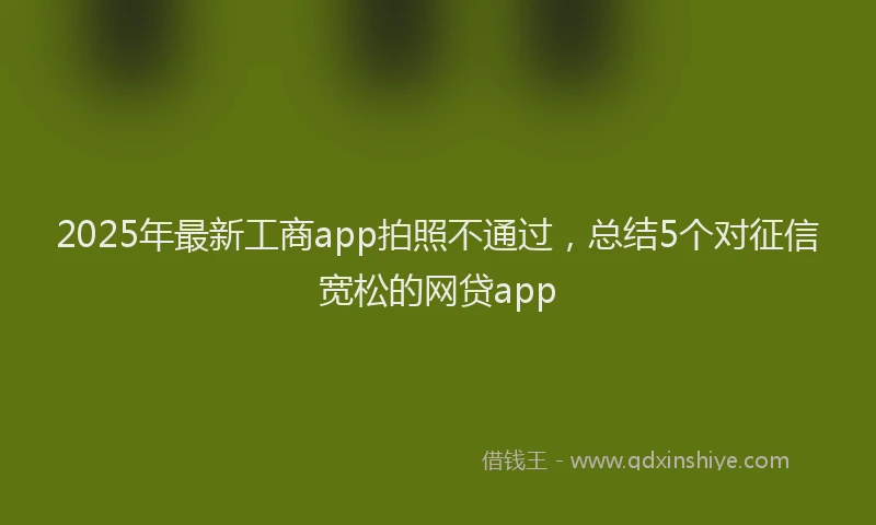 2025年最新工商app拍照不通过，总结5个对征信宽松的网贷app