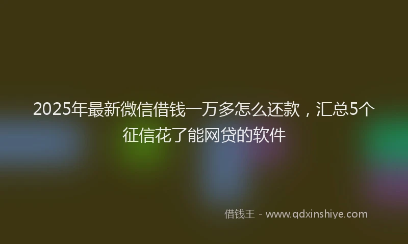 2025年最新微信借钱一万多怎么还款，汇总5个征信花了能网贷的软件