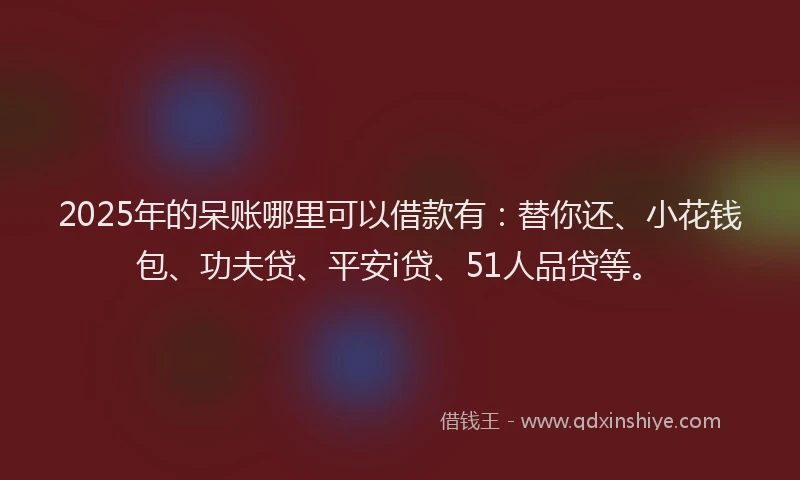 2025年的呆账哪里可以借款有：替你还、小花钱包、功夫贷、平安i贷、51人品贷等。