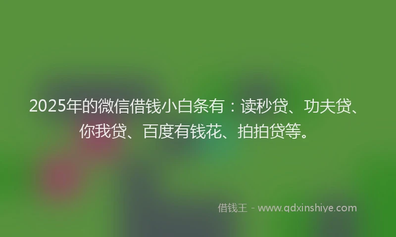 2025年的微信借钱小白条有：读秒贷、功夫贷、你我贷、百度有钱花、拍拍贷等。