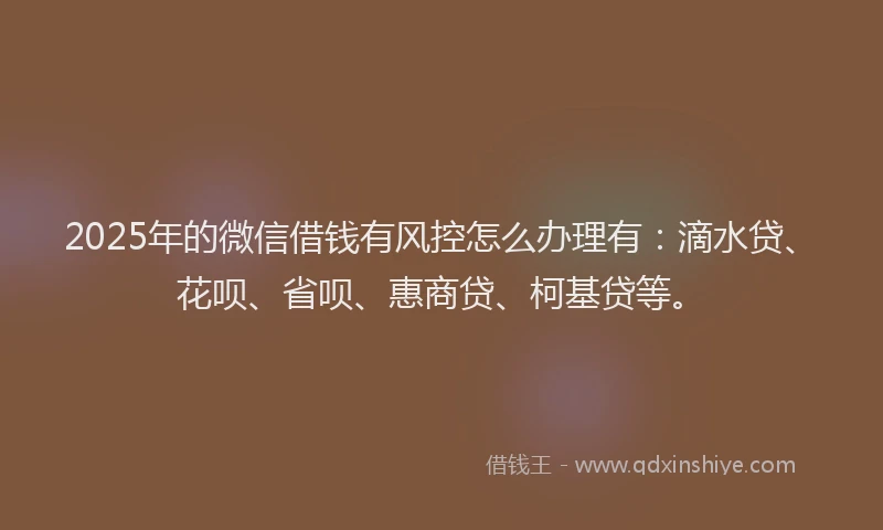 2025年的微信借钱有风控怎么办理有：滴水贷、花呗、省呗、惠商贷、柯基贷等。