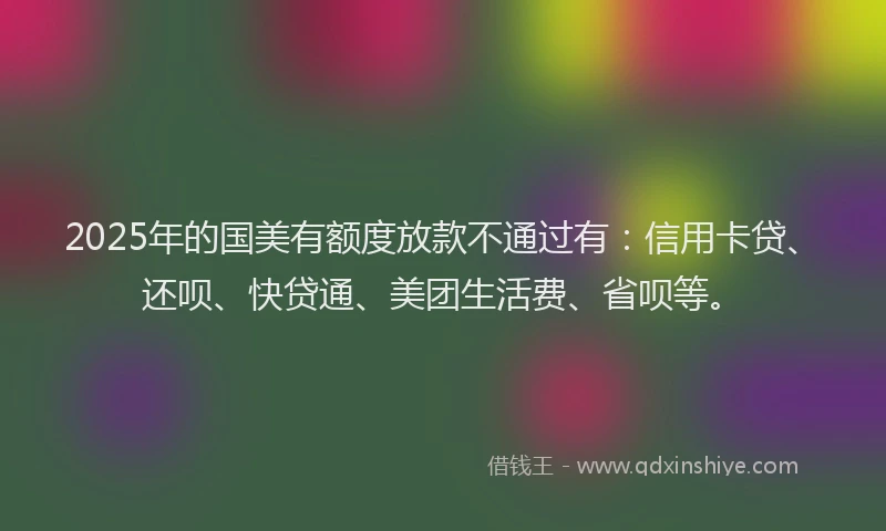 2025年的国美有额度放款不通过有：信用卡贷、还呗、快贷通、美团生活费、省呗等。