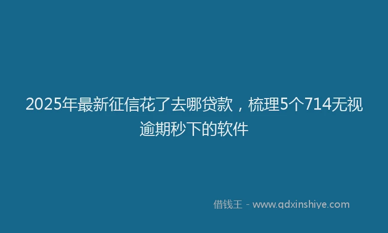2025年最新征信花了去哪贷款，梳理5个714无视逾期秒下的软件