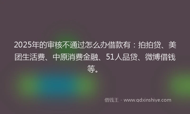 2025年的审核不通过怎么办借款有：拍拍贷、美团生活费、中原消费金融、51人品贷、微博借钱等。